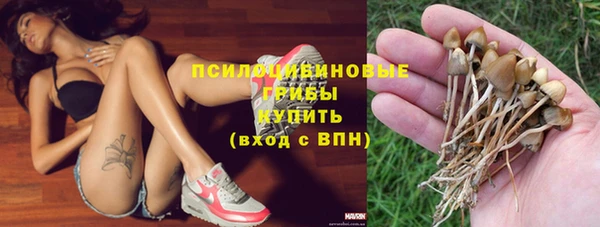 сатива Абдулино